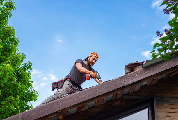 Best Roof Moss and Algae Removal  in North Lakeport, CA