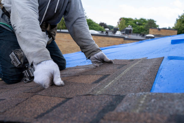Best Rubber Roofing (EPDM, TPO)  in North Lakeport, CA